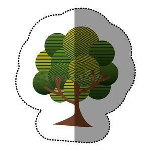 质量 植物 森林 偶像 要素 分支 生态学 花园 作记号