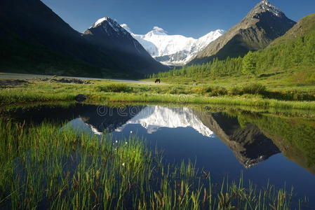 湖边美丽的山景。 山湖。 一种山地地形和山谷中的水