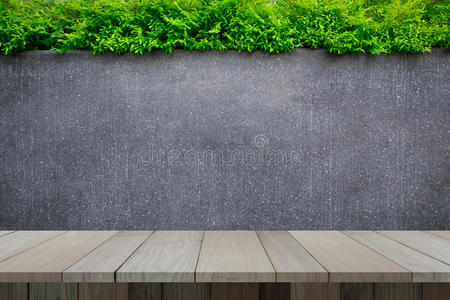 混凝土墙或大理石墙和木地板，有观赏植物或常春藤或花园树。