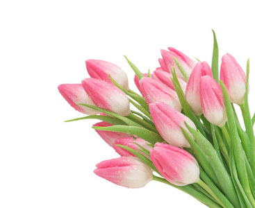 花的 复活节 郁金香 前进 花束 开花 母亲 生日 粉红色