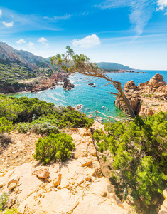 风景 撒丁岛 一瞥 岩石 帕拉迪索 天堂 海景 海洋 海滨