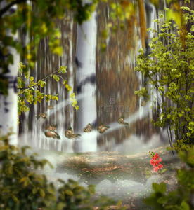 美丽的神秘背景照片蒙太奇与桦树林