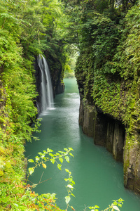 美丽的 吸引力 自然 瀑布 森林 日本人 山谷 日本 玄武岩