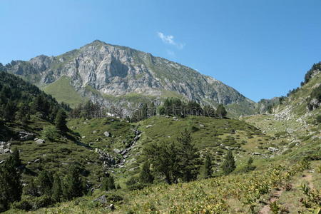 旅行 风景 美女 季节 南方 阿里格 跋涉 布兰科 西方人