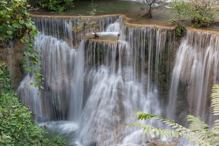 落下 公园 风景 纯洁 自然 放松 流动的 亚洲 森林 运动