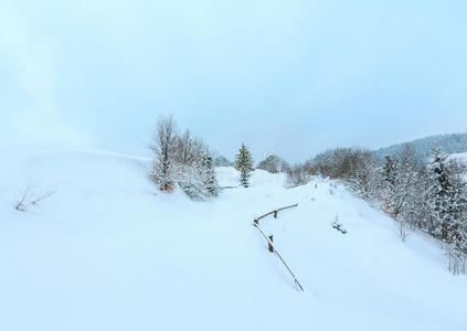 喀尔巴阡山 天空 冷杉 斜坡 风景 国家 降雪 雪堆 小山