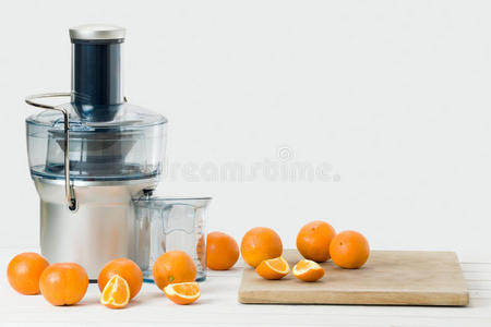 商业 海狸鼠 果汁 水果 柑橘 厨房 营养物 饮料 器具