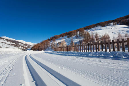 运行 假日 阿尔卑斯山 释放 极端 安全 滑雪 平原 雌蕊