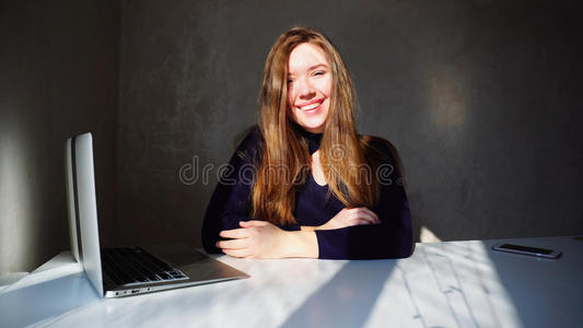 女孩 公司 酒窝 因特网 美女 商人 计算机 美丽的 经理