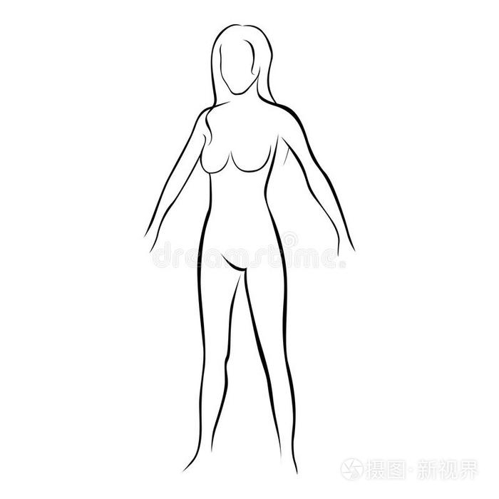 女性风格化的身体轮廓图标插画 正版商用图片24ek2v 摄图新视界