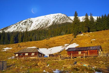 建筑 农场 森林 乡村 屋顶 草地 风景 香味剂 小山 自然