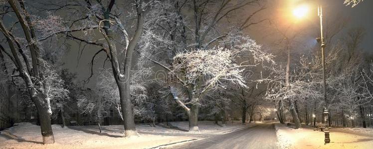 城市 纽约市 城市景观 公司 新的 建筑 中心 秋天 暴风雪