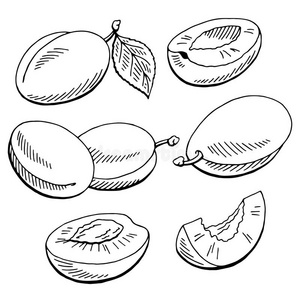 插图 要素 农业 涂鸦 墨水 概述 形象 水果 颜色 美食家