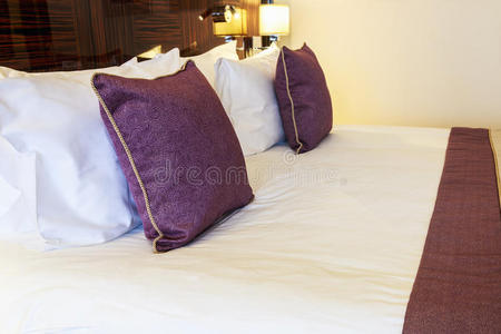 安慰 家具 毯子 酒店 早晨 奢侈 卧室 枕头 房子 放松