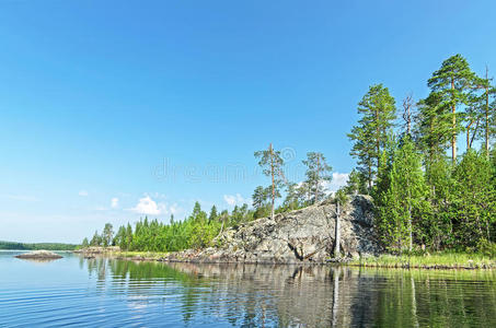 卡雷利亚 自然 夏天 俄罗斯 海岸 反射 风景 伍兹