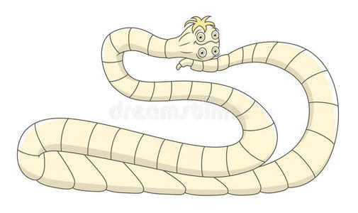 绦虫卡通猪肉绦虫照片