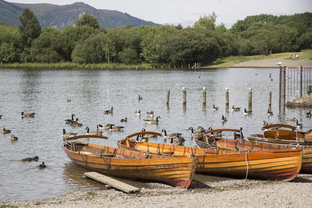 娱乐 德文特 船艇 英国 划船 风景 湖水 自然 木材 小山