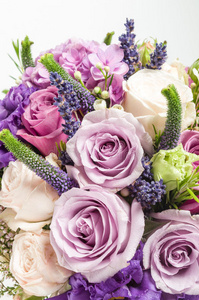 紫罗兰花束。
