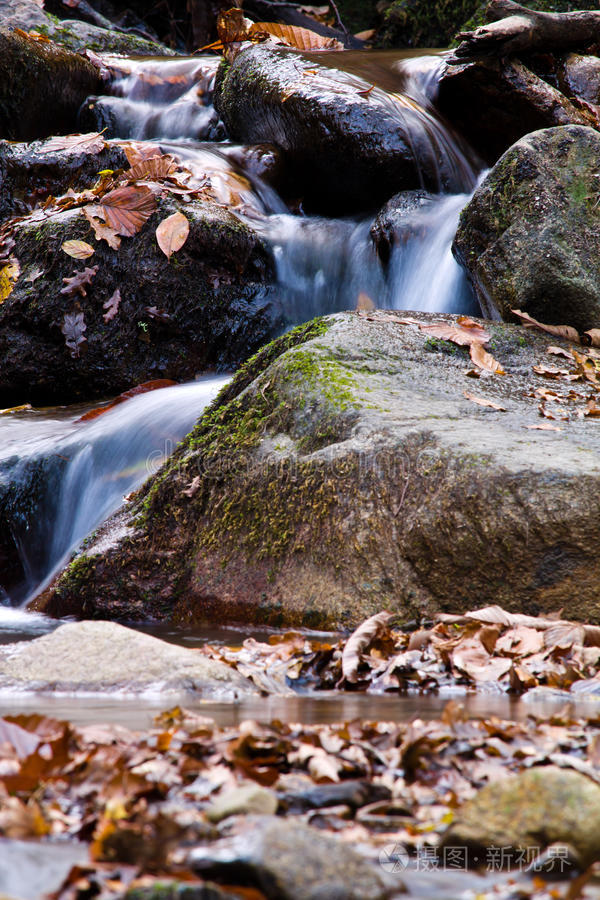 瀑布河和岩石在森林中的秋天景色
