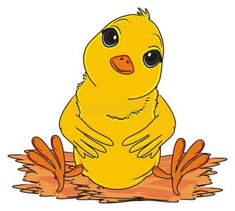 农场 卡通 毛茸茸的 动物 轮廓 情感 可爱的 插图 孵化照片