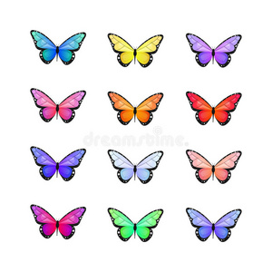 蝴蝶。 矢量插图。 白色背景上的彩色蝴蝶。