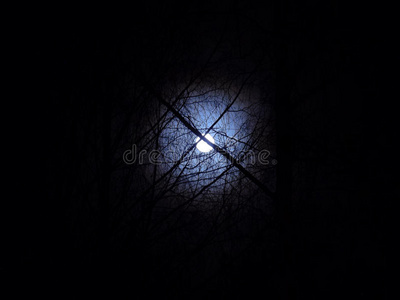 满的 照亮 黄昏 月亮 恐怖 月光 天啊 神秘的 幻想 天文学