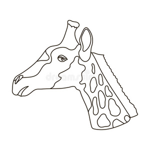 长颈鹿图标的轮廓风格隔离在白色背景上。 现实动物象征股票矢量插图。