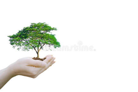 双曝光生态概念人类手握大树
