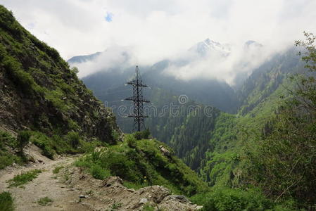 峡谷 国家的 权力 旅游业 地面 公园 自然 灌木丛 春天