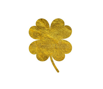 四叶草,白色背景上有四片叶子,金色照片