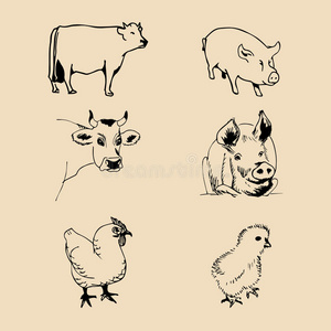 身体 收集 艺术 奶牛 猪肉 农场 图表 动物 要素 标识