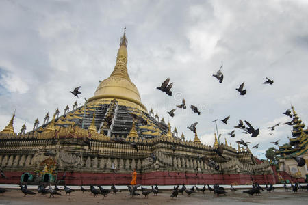 旅游业 建筑 宝塔 建筑学 佛塔 佛教 鸽子 缅甸 佛陀