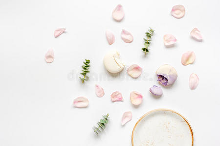 美丽的 草本植物 草药 艺术 饼干 开花 午餐 桉树 早午餐