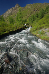 小山 护发素 海岸 岩石 场景 危险的 土地 风景 森林