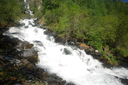 生态学 针叶树 岩石 国家的 洪水 风景 美女 分支 美丽的