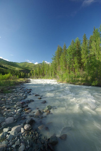 山体 西伯利亚 海岸 环境 森林 小山 俄罗斯 高的 风景