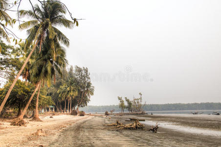 孟加拉国圣达班斯国家公园的海滩
