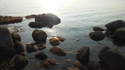 傍晚 太平洋 风扇 丘陵 后面 格兰 萨尼 海湾 石头 苏拉特