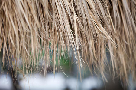 茅草屋顶背景的特写照片