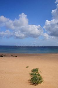 海滩景观