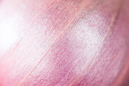 外壳 粉红色 泰语 皮肤 外皮 烹饪 纹理 自然 颜色 泰国