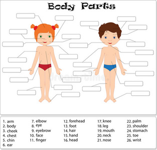 私密部位图片-私密部位素材-私密部位插画-摄图新视界