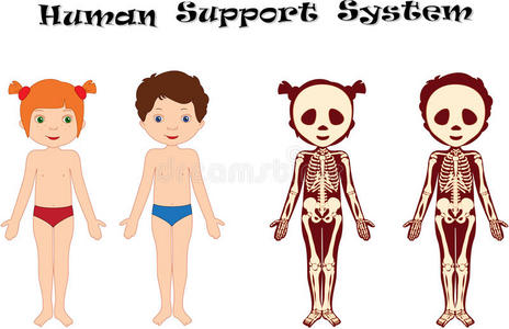 男孩和女孩脱衣服. 孩子们用x光检查身体照片