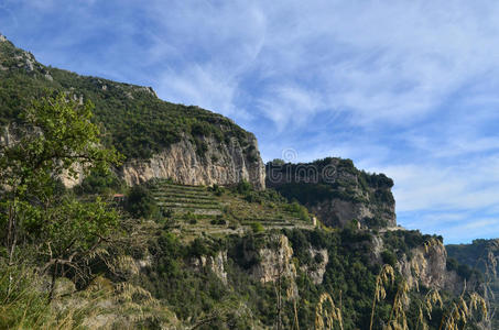 乡村 阿马尔菲 旅行 风景 沿海 海岸线 普莱亚诺 波西塔诺