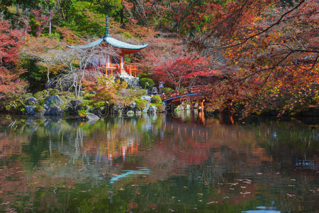 佛教徒 日本 宗教 旅行 美女 风景 落下 花园 京都 文化