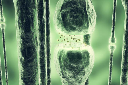 头脑风暴 神经 能量 枝晶 髓鞘 插图 生物学 冲动 连接