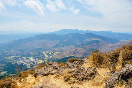 树叶 花园 攀登 吸引力 日本人 九州 风景 福冈 公园