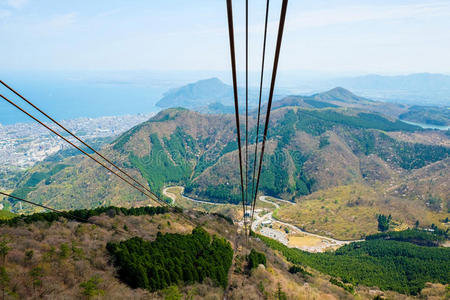 自然 奥塔 贝普 树叶 地标 日本 福冈 城市 建筑 目的地