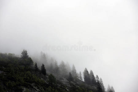 从高山山林升起的雾云