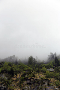 从高山山林升起的雾云